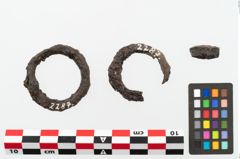 Foto von Eisenring (NHMW-PRAE-002287)